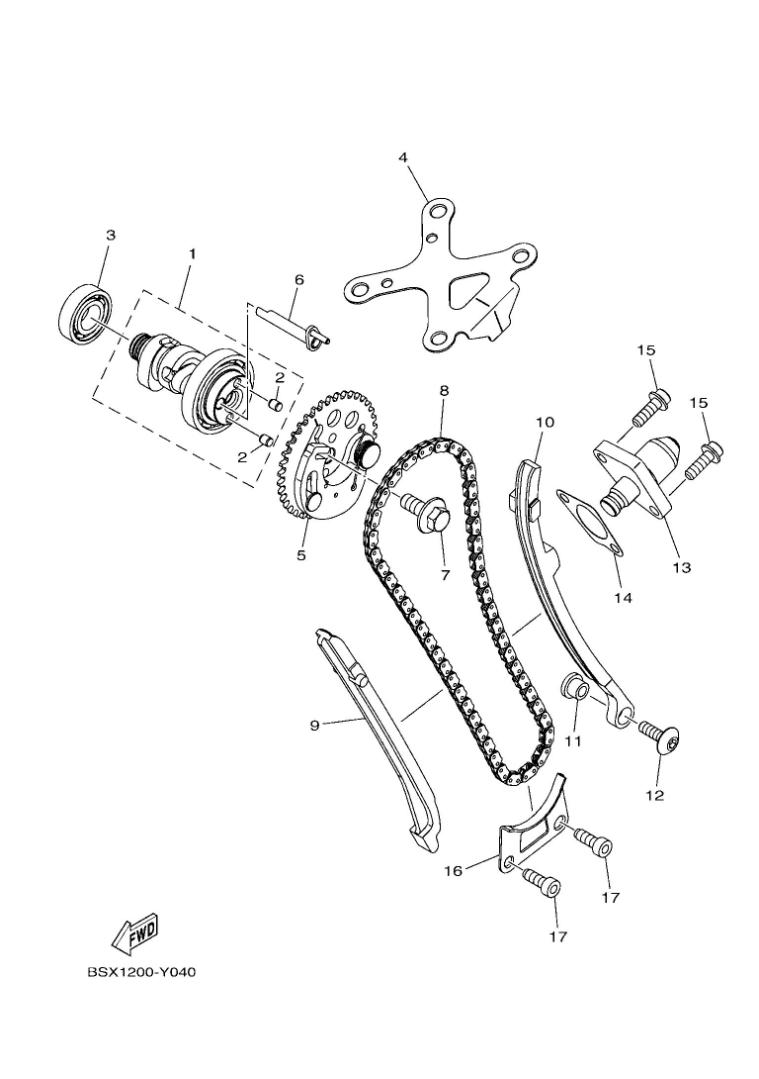 CAMSHAFT & CHAIN